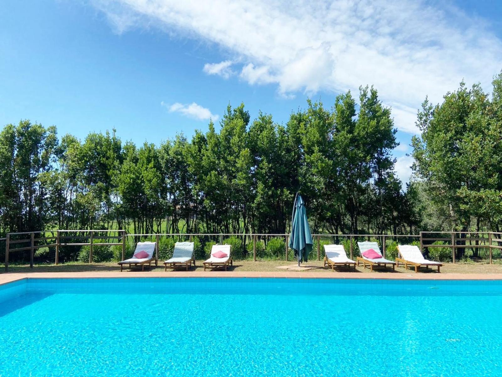 Relais Casale Il Poggetto - Olivo 2 By Zoom In Earth Apartment Cecina  Luaran gambar